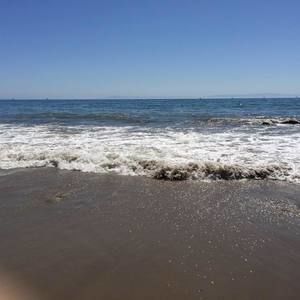 Meet your Posher, Tonia